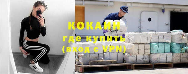 сатива Балахна