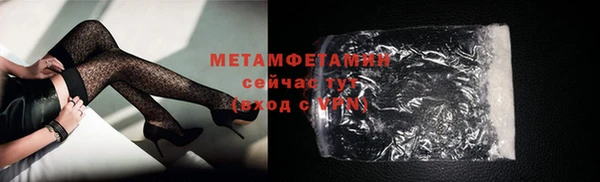 сатива Балахна