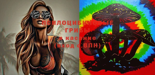 сатива Балахна