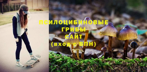 сатива Балахна