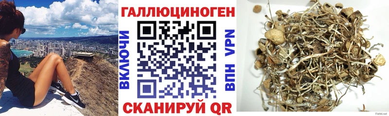 Псилоцибиновые грибы Psilocybe  Шиханы 
